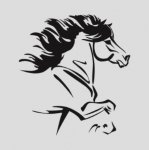 ISLANDPFERD 1 Grösse 1