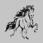 ISLANDPFERD 3 Grösse 1